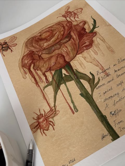 Coffee Rose, coffee and ink on paper